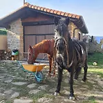 Séjour chez l'habitant Golindo Goikoa *