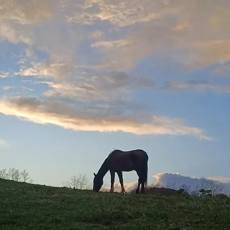 Ubytování v soukromí Golindo Goikoa