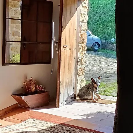 Golindo Goikoa * Getaria