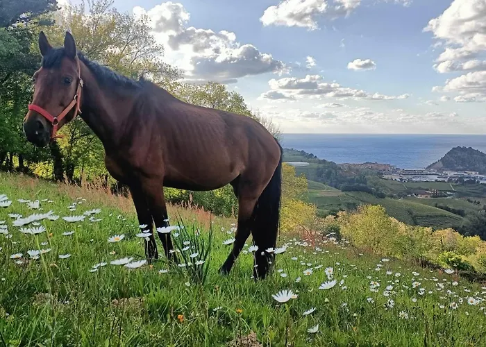 Séjour chez l'habitant Golindo Goikoa