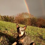 Golindo Goikoa * Getaria
