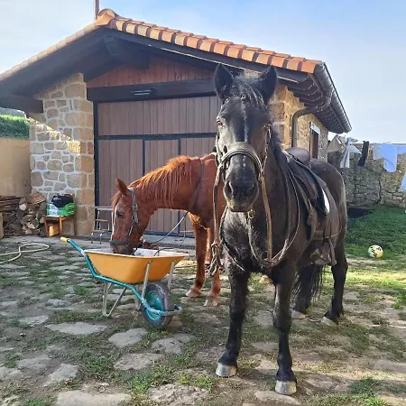 Alloggio in famiglia Golindo Goikoa *