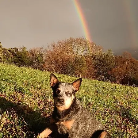 Golindo Goikoa * Getaria