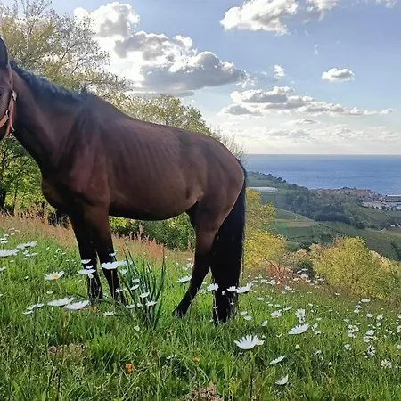 Alloggio in famiglia Golindo Goikoa