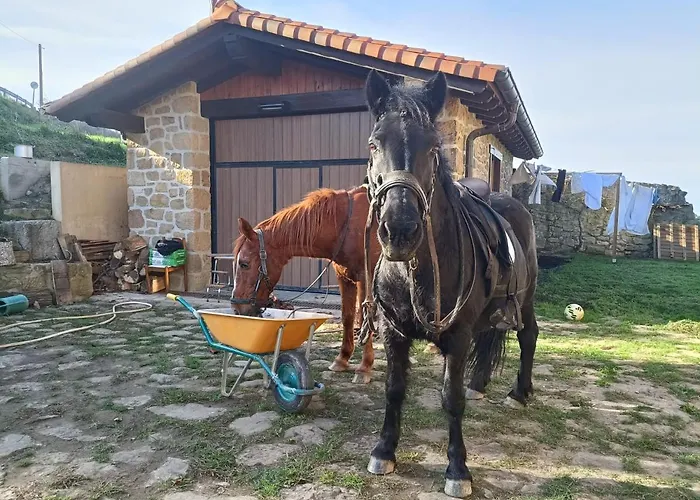 Accommodatie bij particulieren Golindo Goikoa *