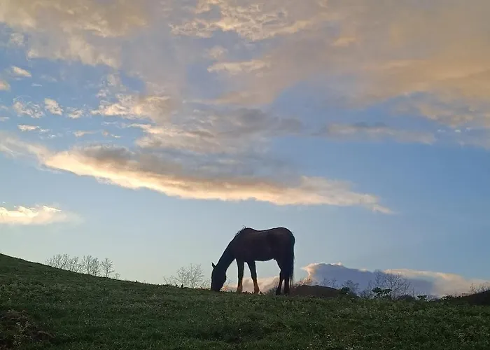 Homestay Golindo Goikoa