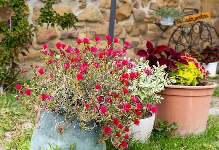 Golindo Goikoa Accommodatie bij particulieren